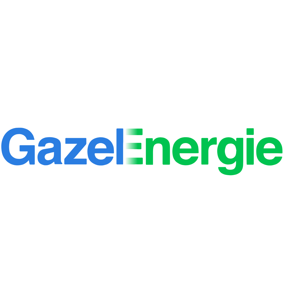 Logo gazel